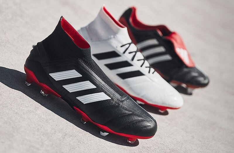 プレデターマニア19+ & プレデターマニア19.1 FG 正式公開 (12月7日