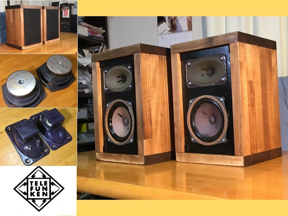 Telefunken 強力2Way システム L20ユニットシステム ペア！凄い低音