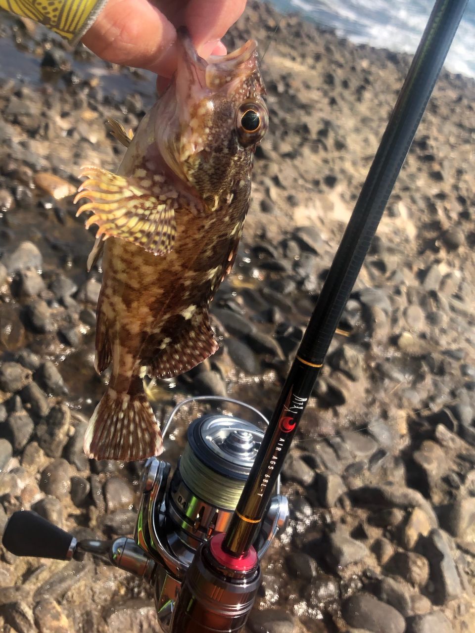 釣行記】りんたこさん監修ロッドのデビュー戦！―19月下美人AirAGS 68L