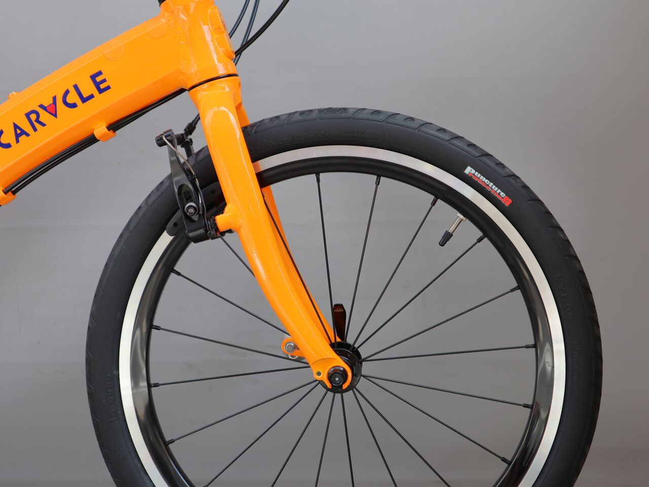 CARACLE-S ベーシックモデル rev.4.2【橋輪Blog】 : 橋輪