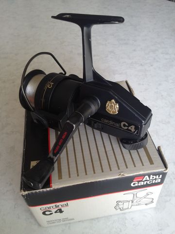 カーディナルC4 : 今日のあの池