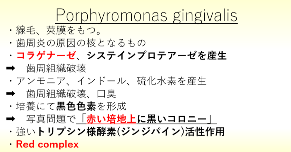 Porohyromonas gingibvalis の特徴 : ロムニーハウス勉強会® 119回