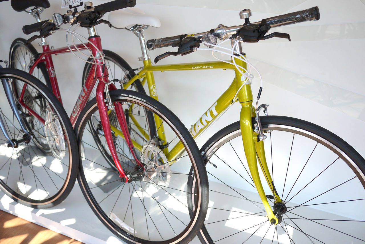 GIANT ESCAPE R3 2016年モデル！新色のライムゴールドが入荷！ : SBC