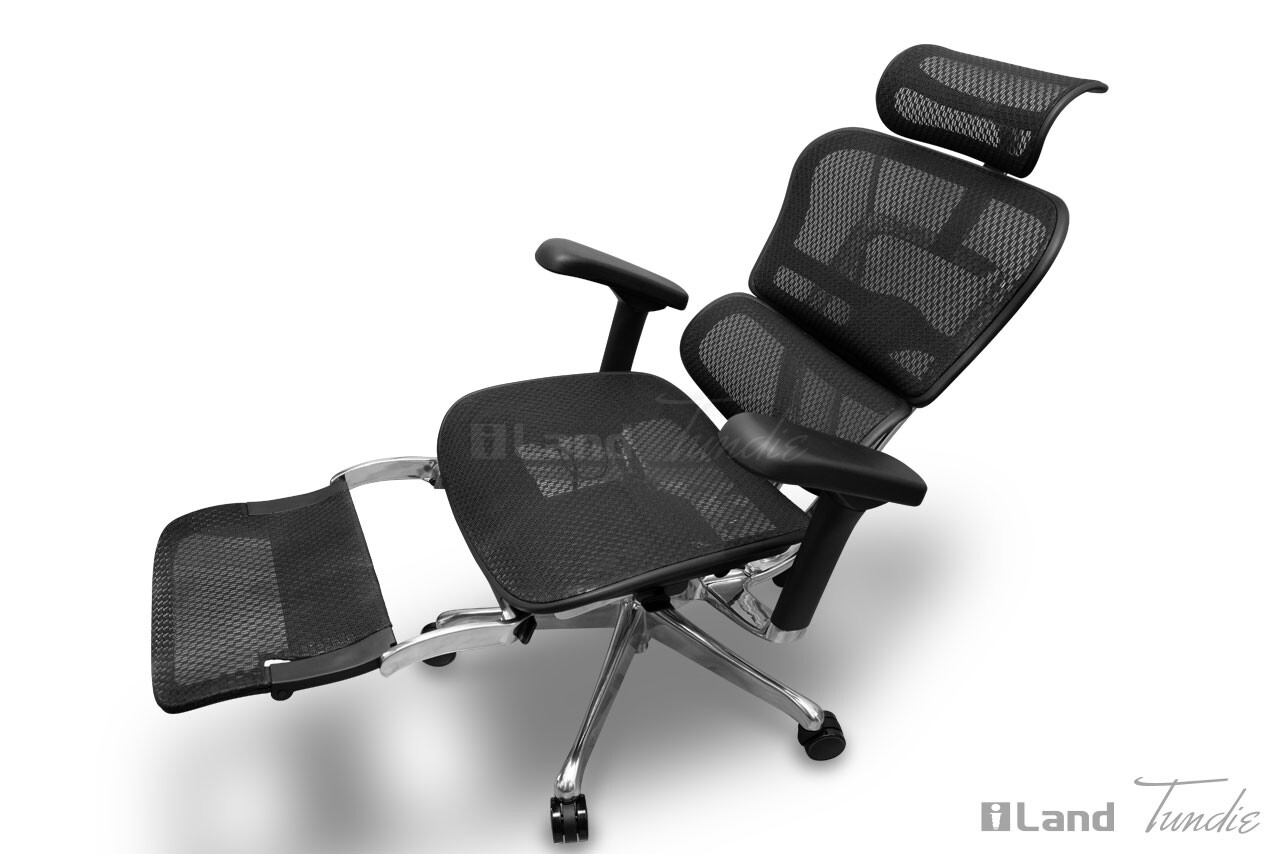 エルゴヒューマン プロ2 オットマン導入 (アーロンリマスタードもある