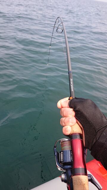 何度でも言うスコーピオン2702R-2は最高のロッド : ライトゲーム釣り