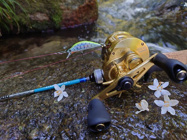 アブのパックロッド】ズームサファリ464Lベイトモデルを使うとこうなる