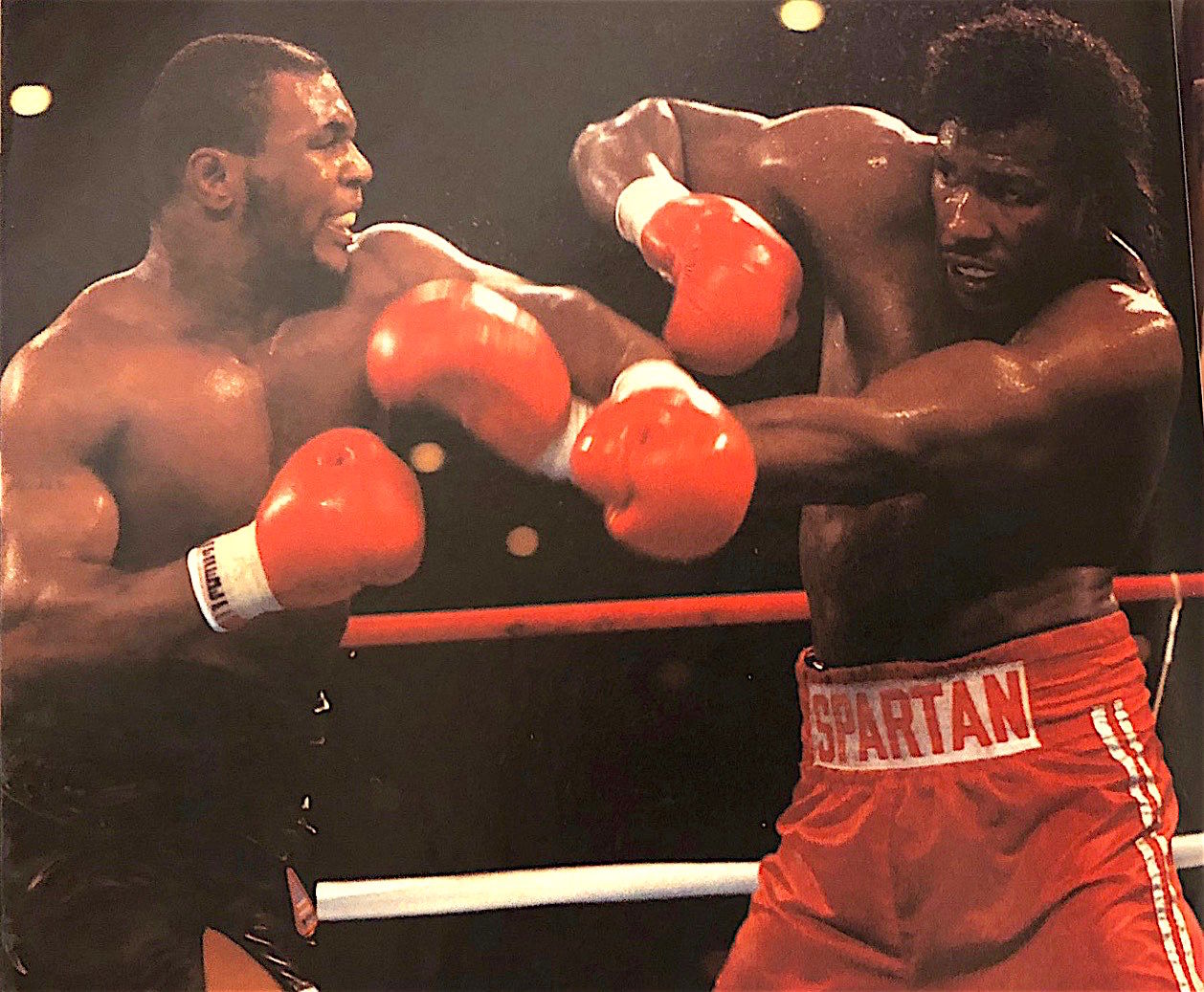 ヘビー級が再び輝くとき〜ジョシュア対パーカー② : フシ穴の眼