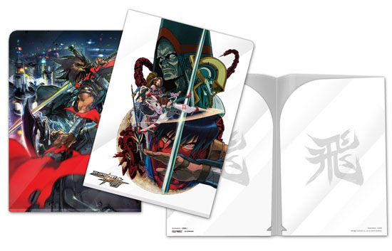 恐るべし！「イーカプコン限定版 ストライダー飛竜 特A級 LIMITED