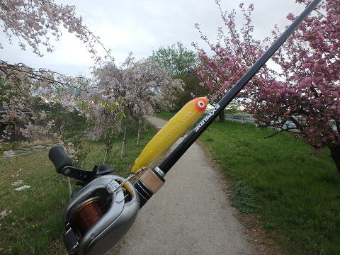 シマノ エクスプライド 163ML-G インプレ : C調パラダイス