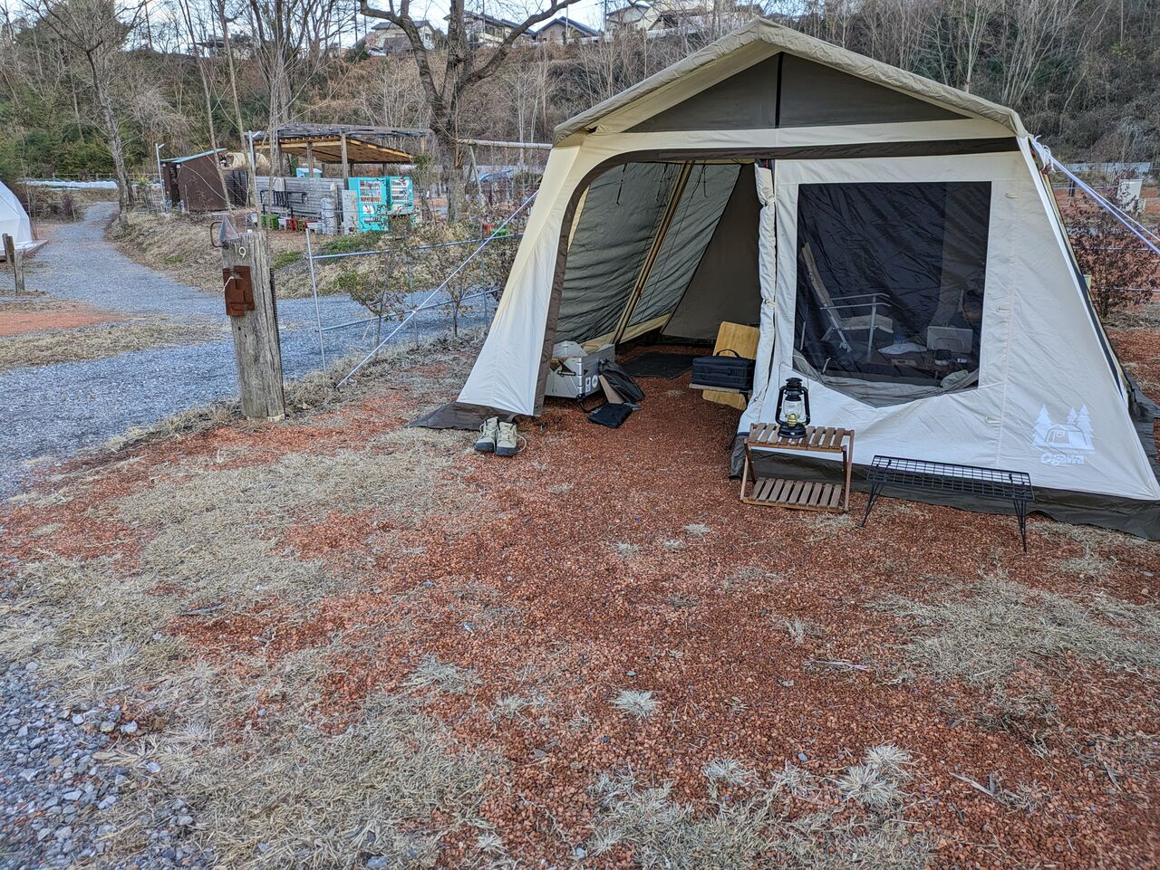 テント紹介 オガワ ロッジシェルターT/C : S家のキャンプ日記