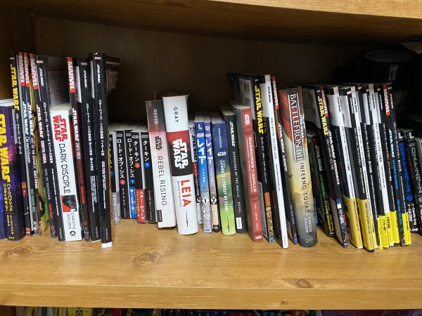 買い逃しはありませんか？]ヴィレッジブックスが廃業へ…今しか買えない