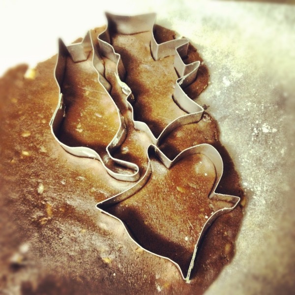 ☆DIY!クリスマスのクッキーに？オリジナルクッキー型をつくろう