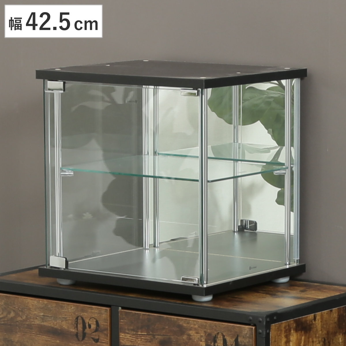 コレクションボックス 幅42.5cm 2段 キューブ型 ショーケース 背面