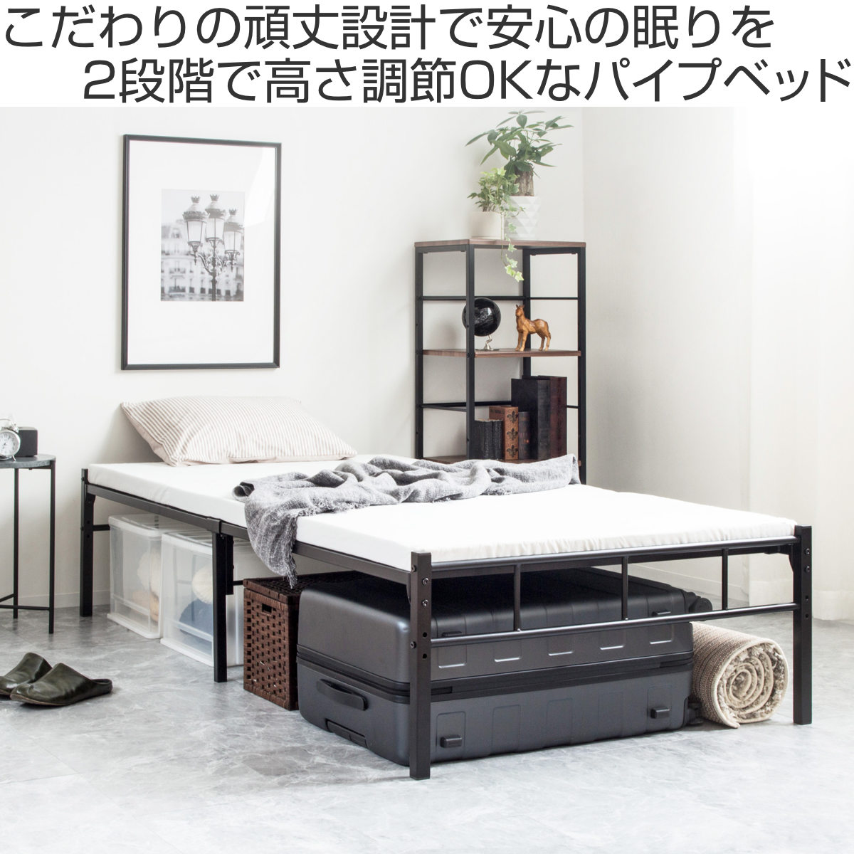 パイプベッド シングル スチール 頑丈 高さ2段階調整 （ ベッド 高さ