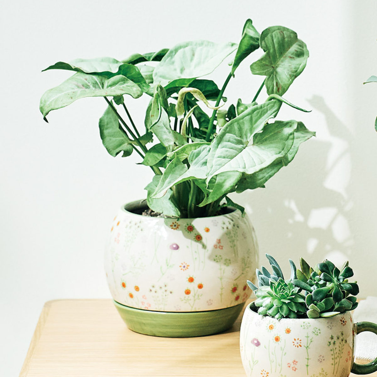 植木鉢 チェリッシュポット 3号用 （ フラワーポット プラントポット