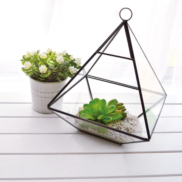 テラリウム トライアングル W ガラス ディスプレイケース （ ガラス