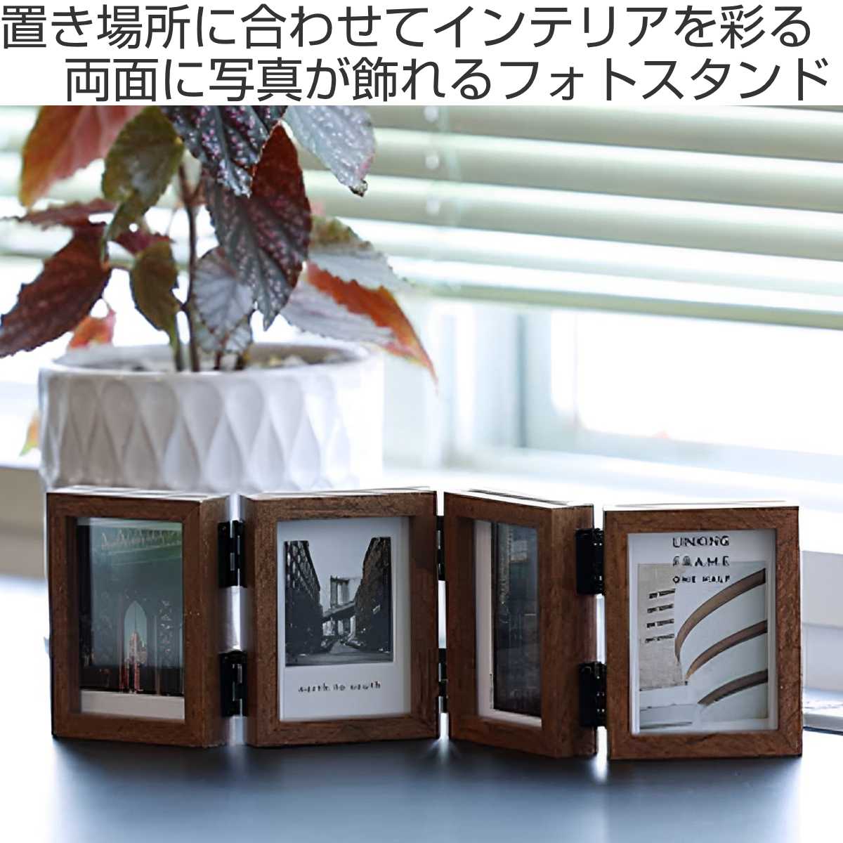 dショッピング |フォトフレーム 4連 ハーフサイズ ハンギング 卓上