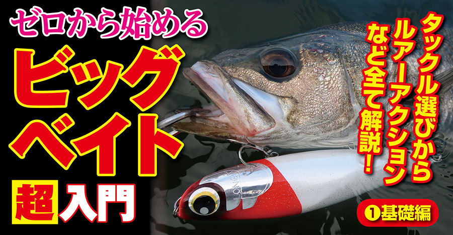 LONGIN ビッグベイト入門特設ページ①