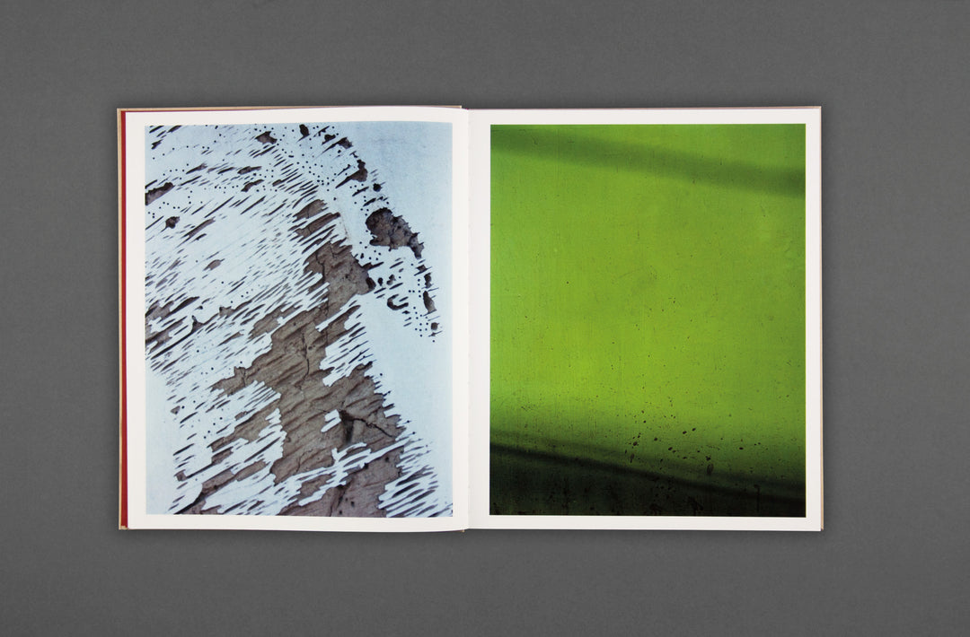 Harley Weir - Paintings - Loose Joints – Loose Joints Publishing