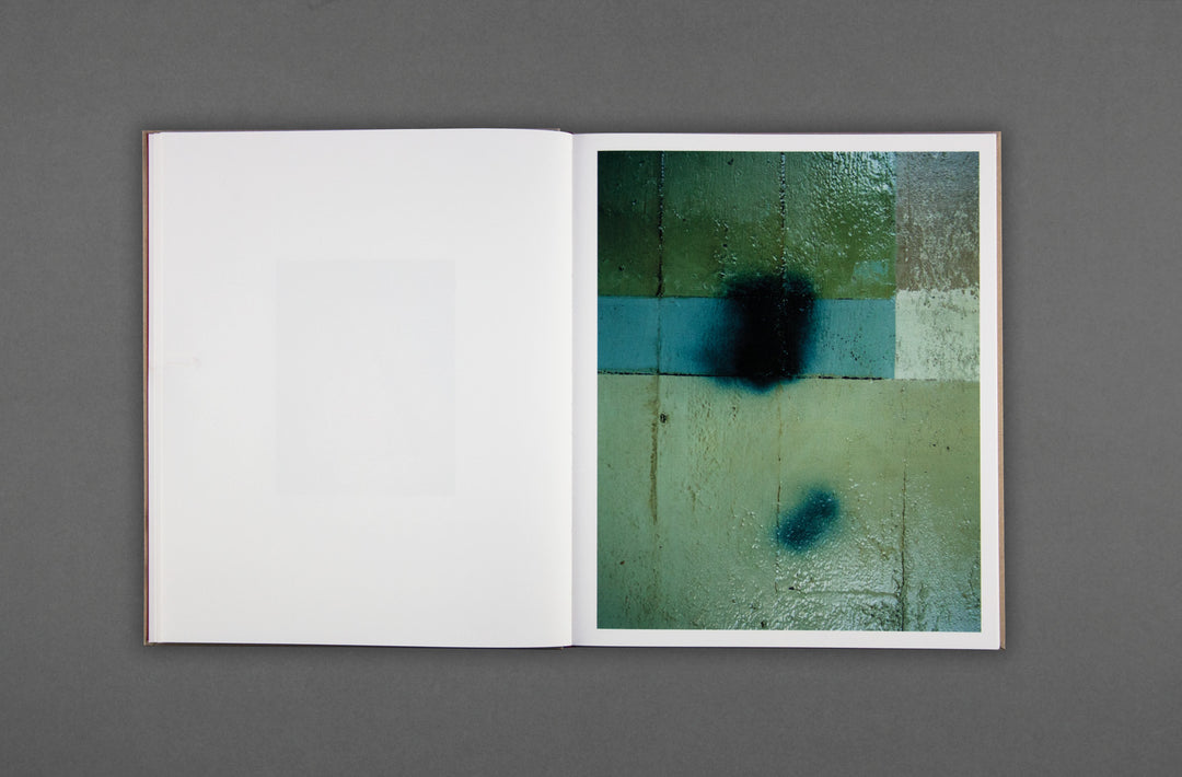 Harley Weir - Paintings - Loose Joints – Loose Joints Publishing