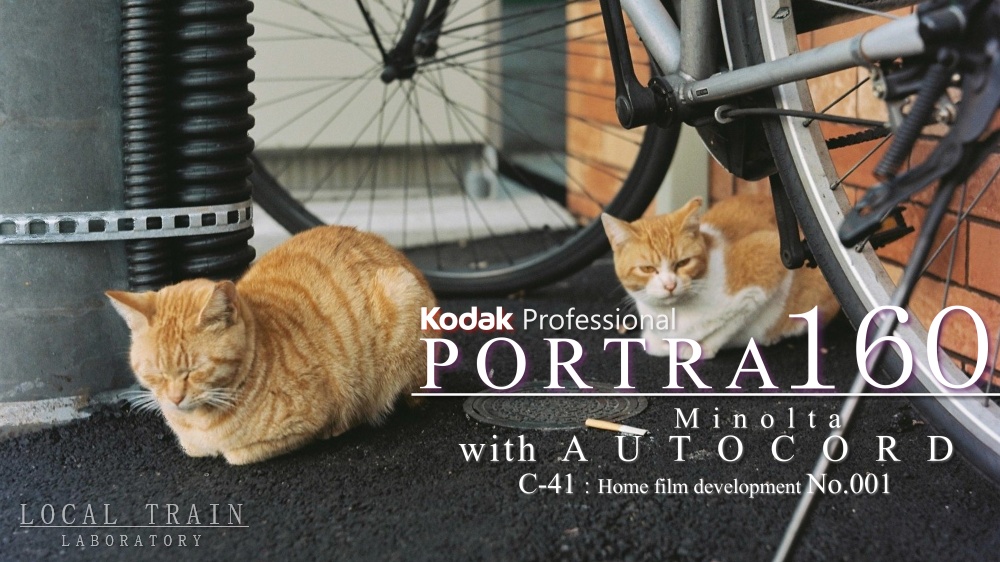 写真作例付き】期限切れ10年のKodak Portra 160をMARIXのC-41現像液で