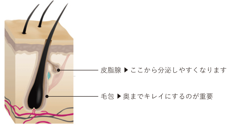 レヴィ シャンプー・トリートメント | LOUVREDO ルーヴルドー