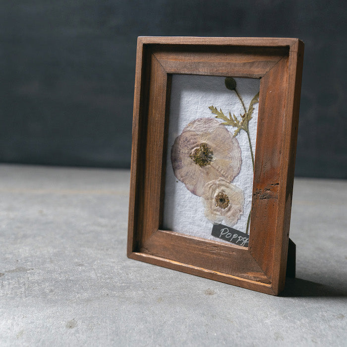 押し花アート 押し花アートフレーム MINI ポピー