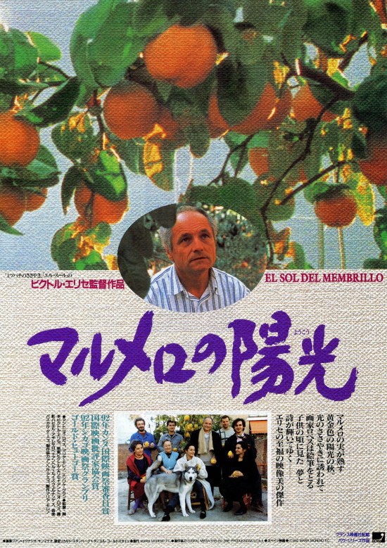 大雪特価‼️幻の傑作‼️「マルメロの陽光('92スペイン)」ヴィクトル