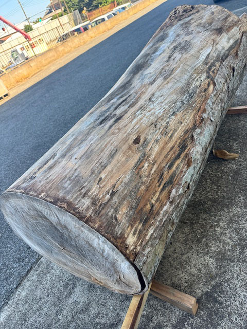 銘木 けやき欅 ケヤキ 超巨大 丸太 原木