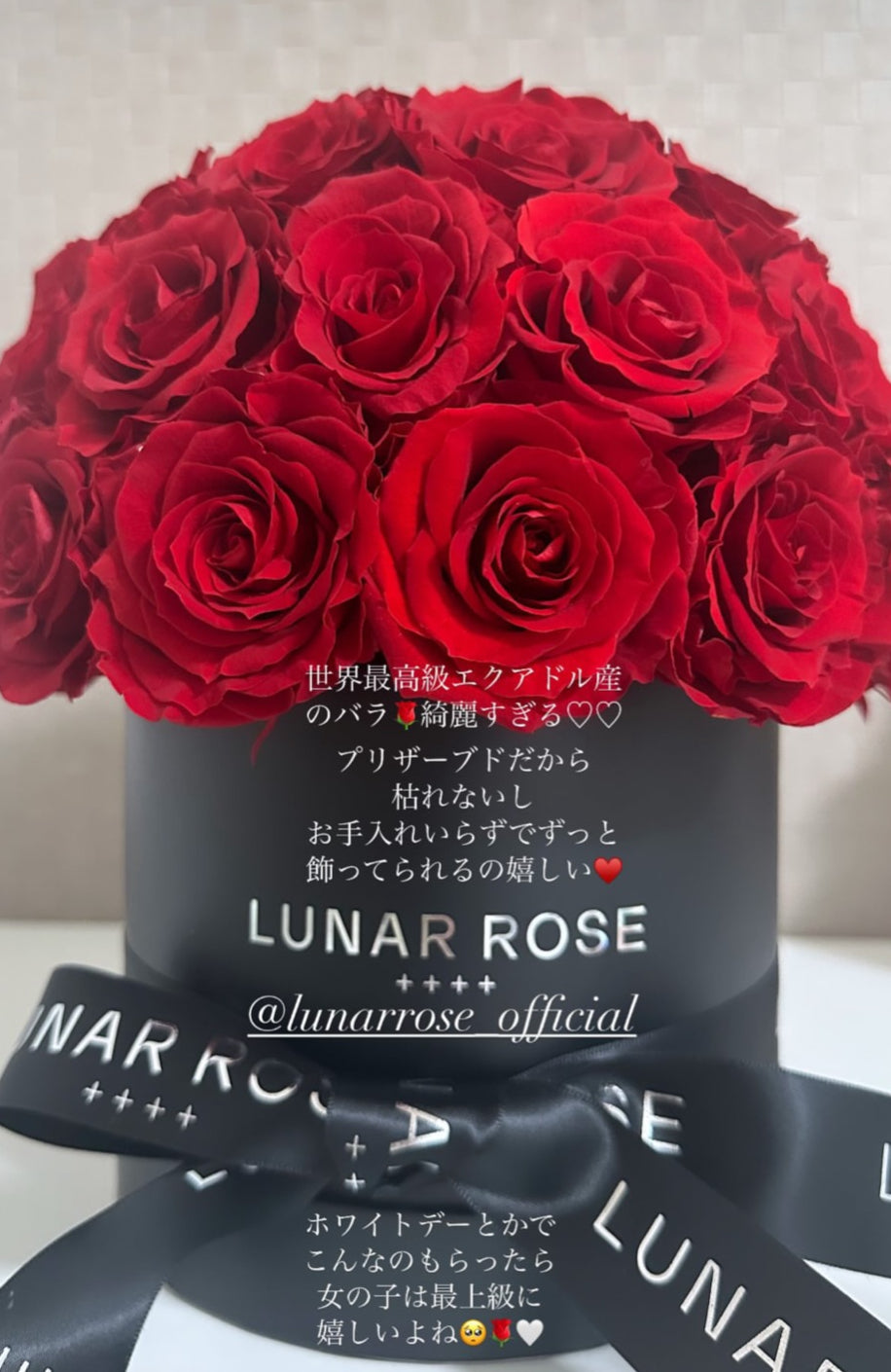 ROSE DOME M | LUNAR ROSE | ルナーローズ | 高級プリザーブドローズ