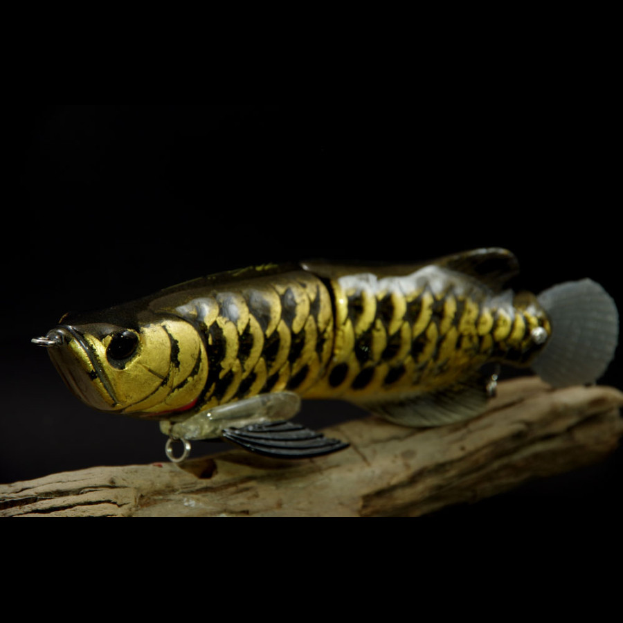AROWANA DRAGONFISH V2 - GOLD LEAF