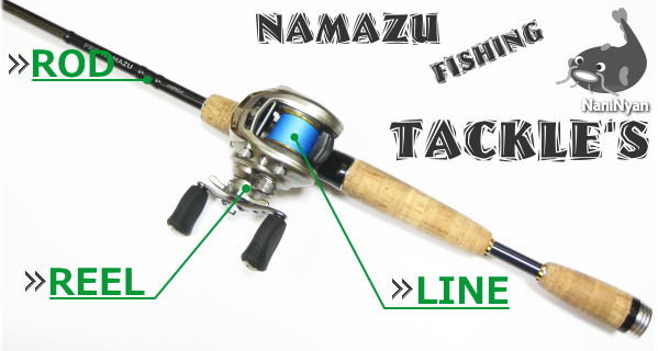 ナマズ釣りのタックル説明