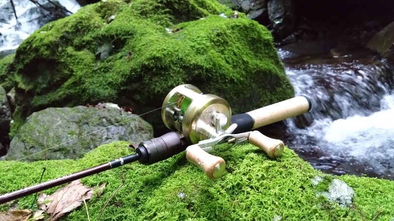 インプレ】Fishman Beams ブランシエラ4.8UL【曲がらないけど曲がる