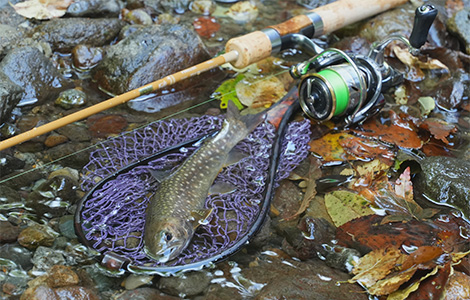 インプレ】ダイワ 23ピュアリスト46ULBを買って使ってみた【お手頃