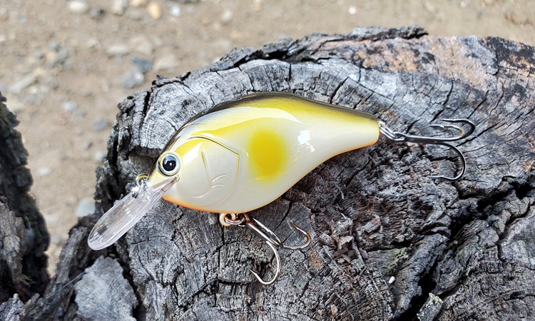 ノリーズ「マルノミフラット60」使用インプレッション。 – LureNote