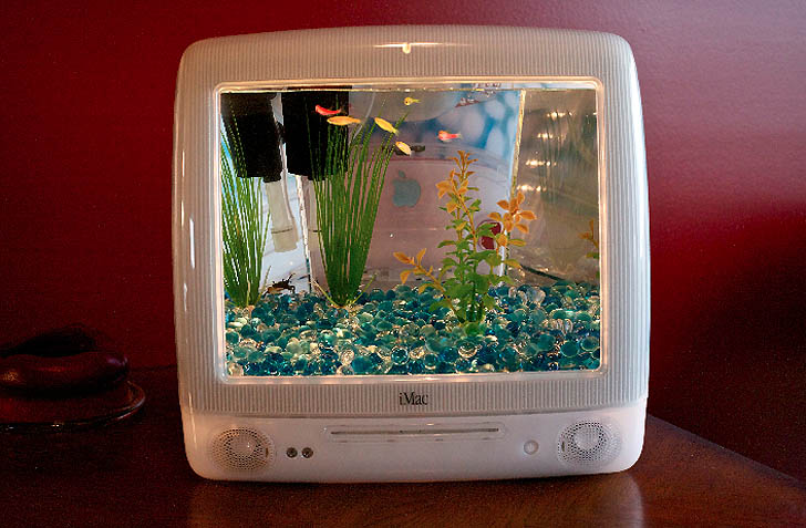 Macquarium: an old Apple iMac G3's candy-colored body recycled