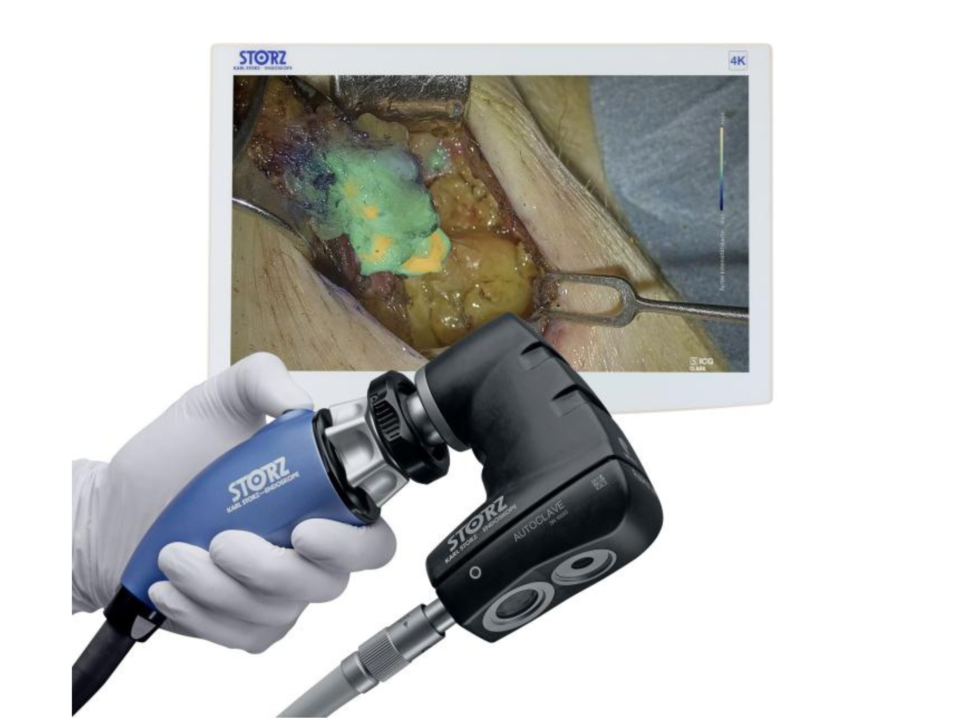 トレーニングボックス | エム・シー・メディカル株式会社