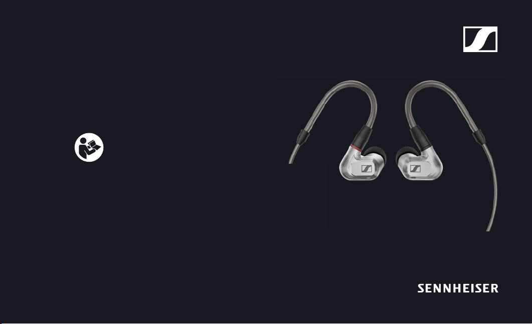 IE900 SENNHEISER 美品要本文説明