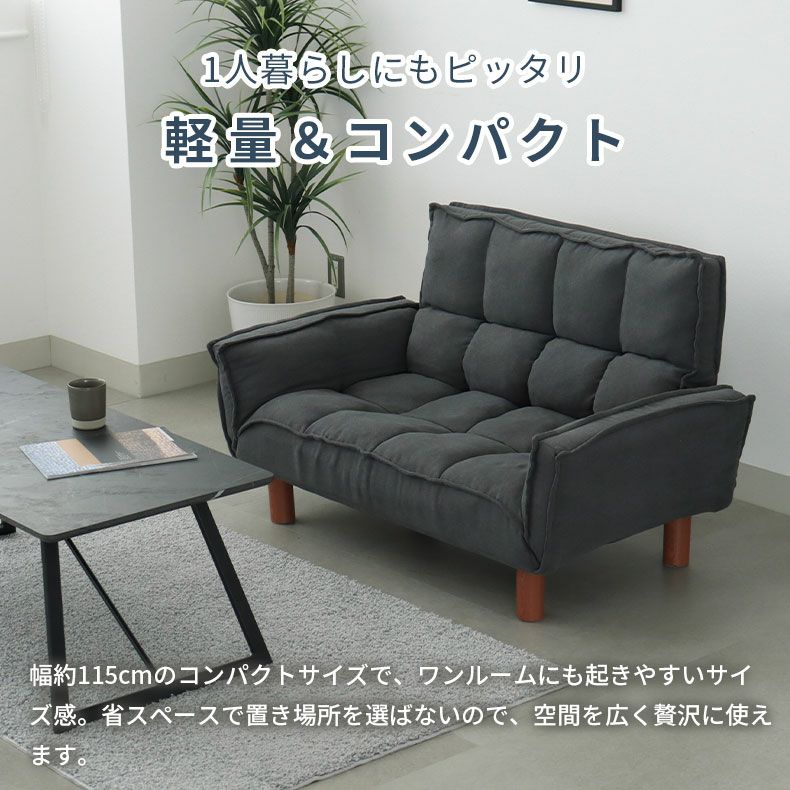2人掛け カジュアルソファ パッソプラス