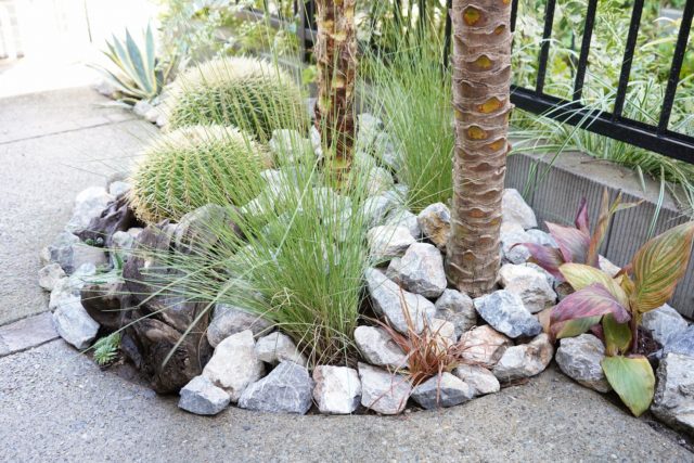 ドライガーデン 施工事例 世田谷 - ドライガーデン・植栽デザイン専門