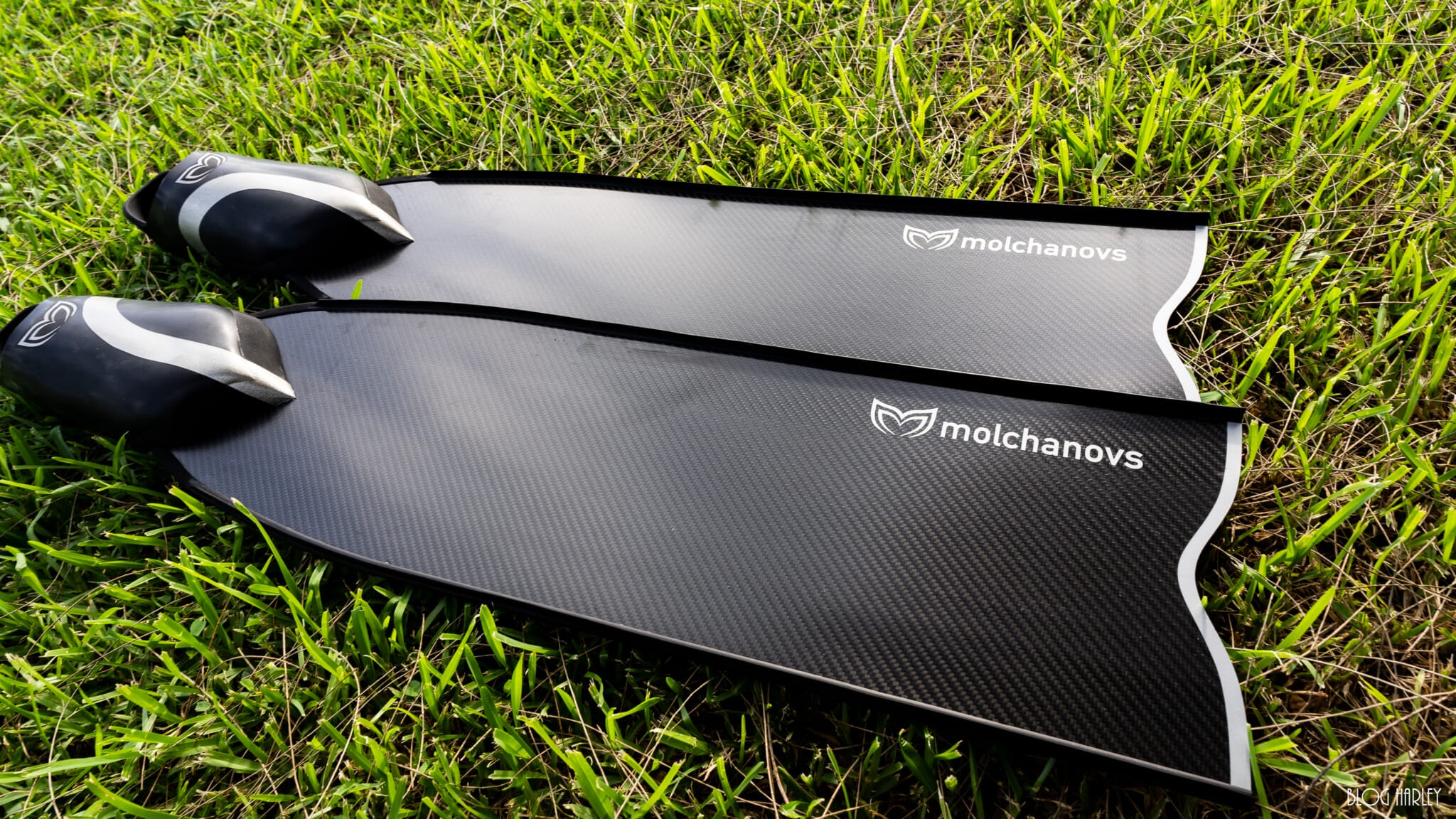 Molchanov Bifins CS1 / モルチャノフ カーボン ロングフィン - まなて