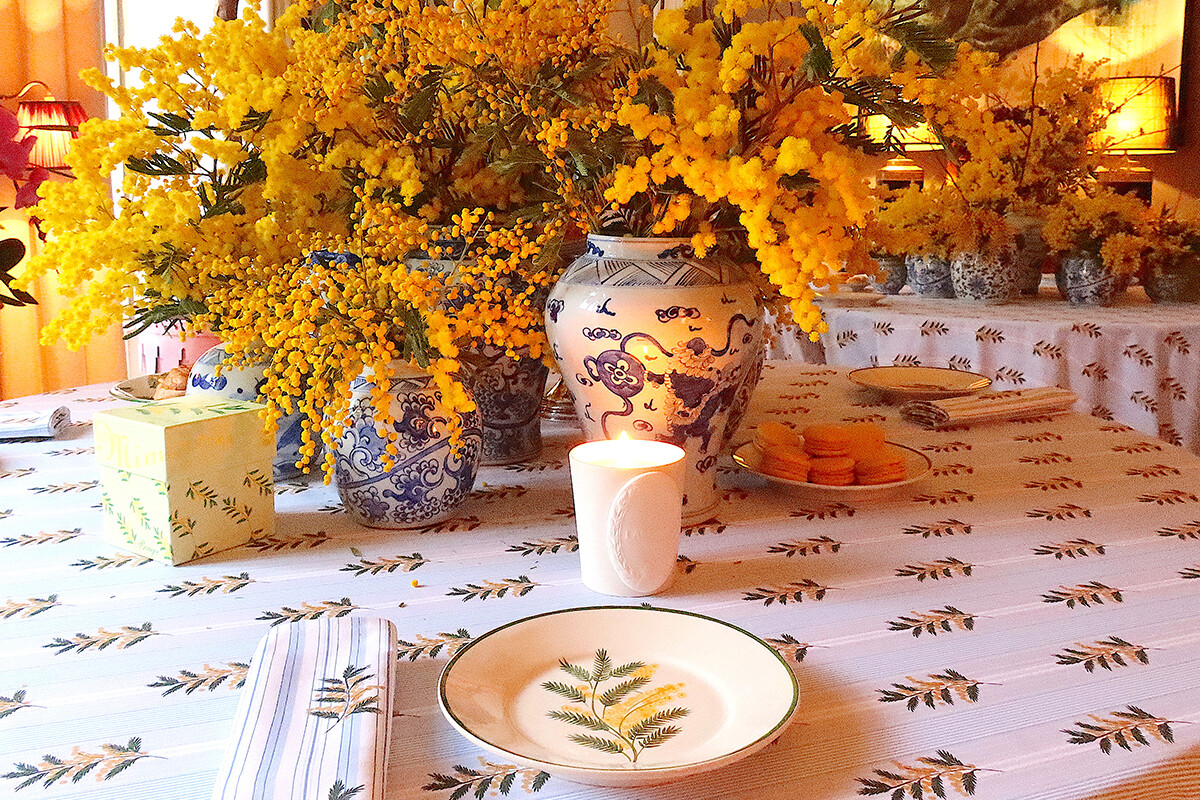 ラデュレの黄色いミモザのマカロンとカーザ・ロペズのこと。｜Paris