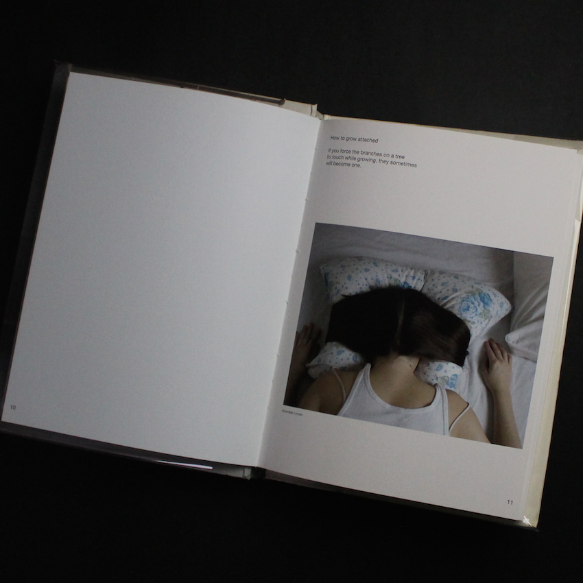 Janfamily -Plans for other days- - Janfamily