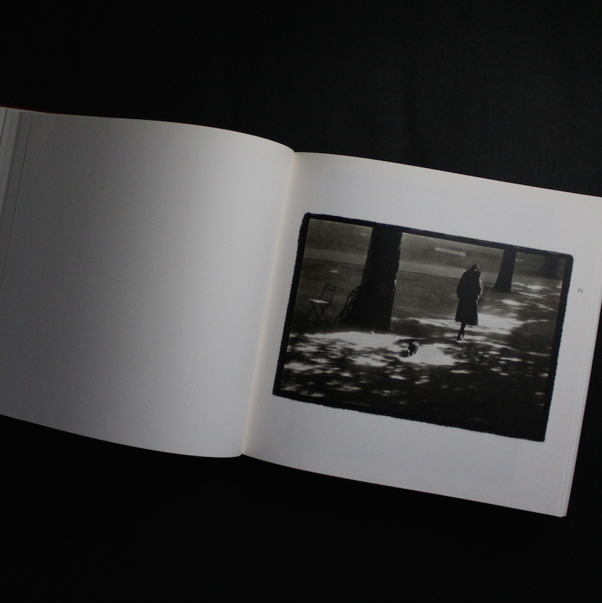 Zufallige Begegnungen - Sarah Moon