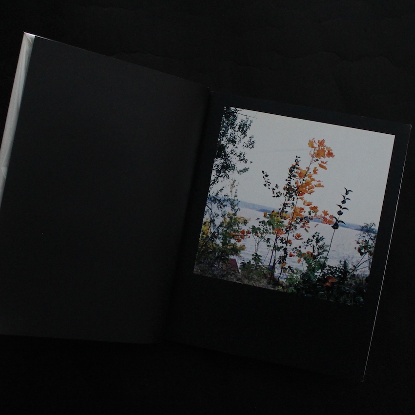 I Can't Believe a Girl is Playing Me Metallica（Signed） - Valerie