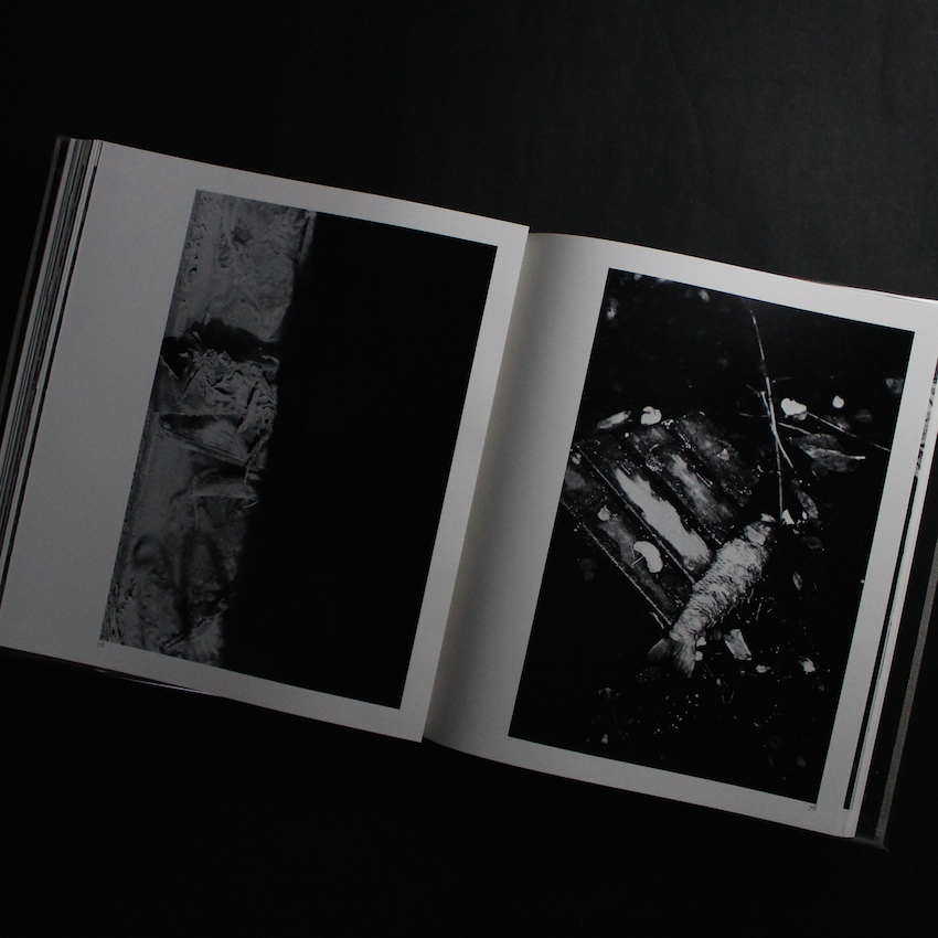 河：累影 / River, Its Shadow of Shadows（Signed） - 森永 純 / Jun