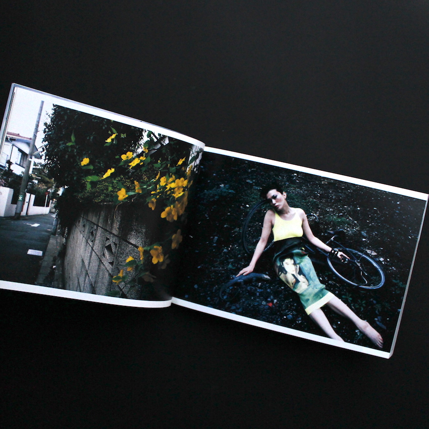 Araki in Wien（Missing Slipcase） - 荒木 経惟 / Nobuyoshi Araki