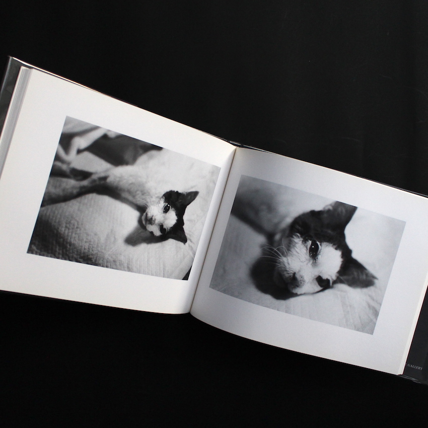 センチメンタルな旅 春の旅 / Sentimental Journey, Spring Journey