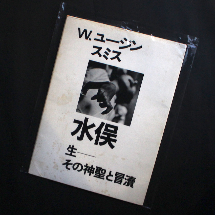 水俣：生-その神聖と冒瀆 / Minamata: Life-Sacred and Profane