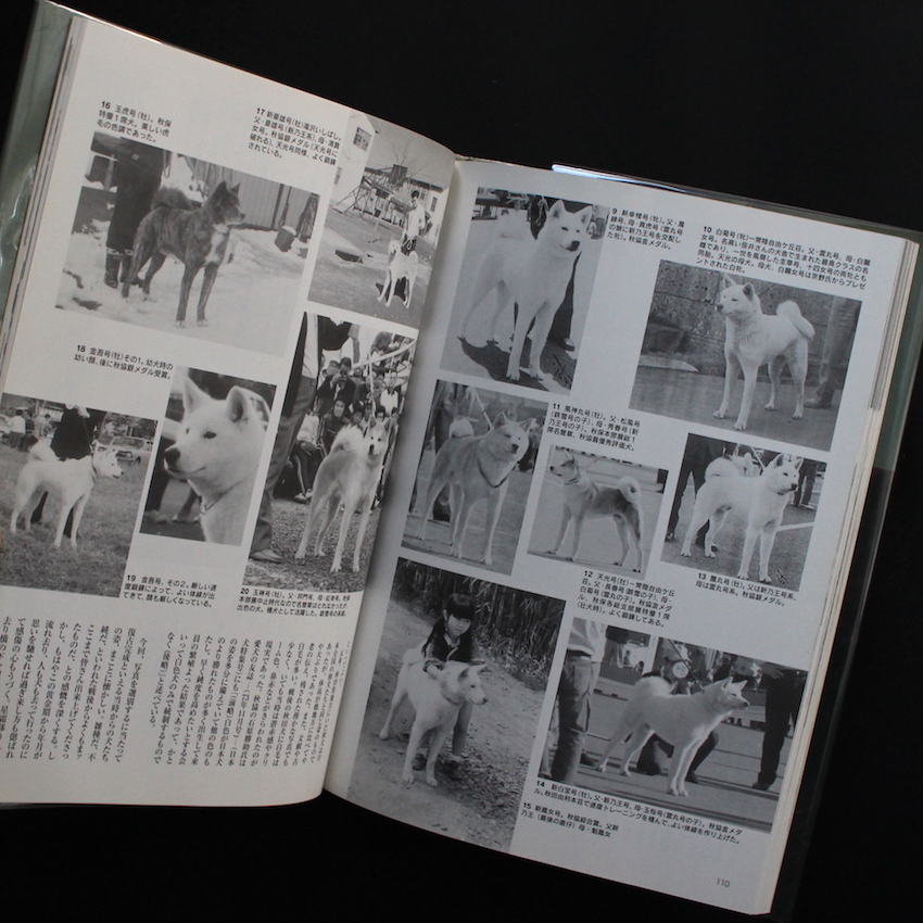 往古日本犬写真集 - 岡田 睦夫 / Mutsuo Okada